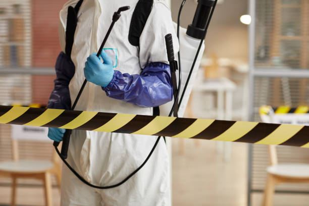 Professional Biohazard technician working in Lady Lake, FL